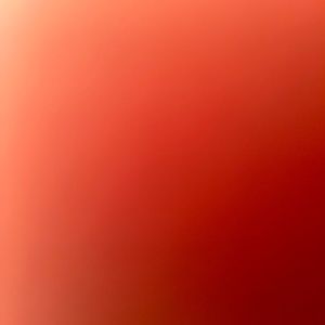 Meet your Posher, Seena